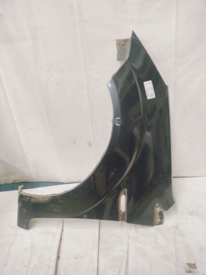 FENDER LH