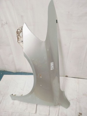 FENDER LH