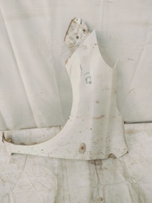 FENDER LH